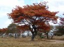 Photos: Zimbabwe (pictures, images)