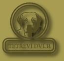 Chovatelska stanice ps: TETEV DVR