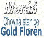 Chovatelska stanice ps: GOLD FLORN