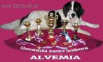 Chovatelska stanice ps: ALVEMIA