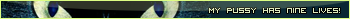 Userbars to free download for your forum or blog (16 096 userbars)