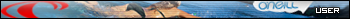 More userbars to free download