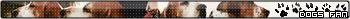 More userbars to free download