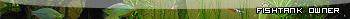 Userbars to free download for your forum or blog (16 096 userbars)