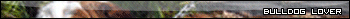 More userbars to free download