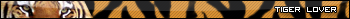 More userbars to free download