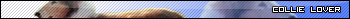 More userbars to free download